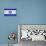 Israel Flag Design with Wood Patterning - Flags of the World Series-Philippe Hugonnard-Premium Giclee Print displayed on a wall