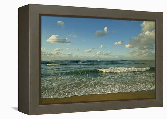 Israel, Haifa. Beaches and Mediterranean sea-Michele Molinari-Framed Premier Image Canvas