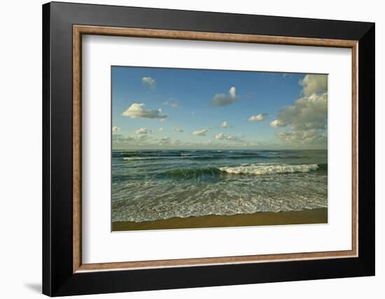 Israel, Haifa. Beaches and Mediterranean sea-Michele Molinari-Framed Photographic Print