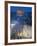 Israel, Jerusalem, Old City, Jewish Quarter of the Western Wall Plaza-Walter Bibikow-Framed Photographic Print