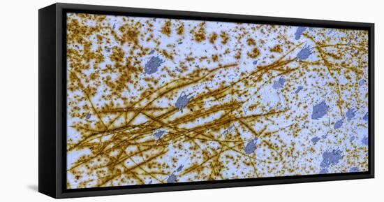 Israel Rust Abstract-Art Wolfe-Framed Premier Image Canvas