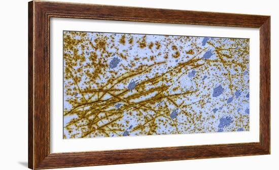 Israel Rust Abstract-Art Wolfe-Framed Photographic Print