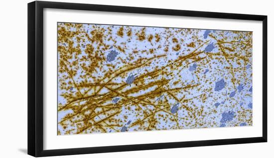 Israel Rust Abstract-Art Wolfe-Framed Photographic Print