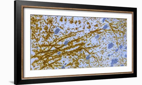 Israel Rust Abstract-Art Wolfe-Framed Photographic Print