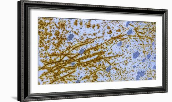 Israel Rust Abstract-Art Wolfe-Framed Photographic Print