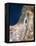 Israel, Satellite Image-PLANETOBSERVER-Framed Premier Image Canvas