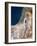 Israel, Satellite Image-PLANETOBSERVER-Framed Photographic Print