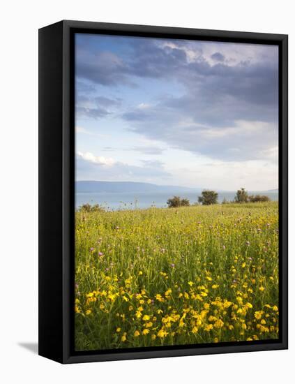 Israel, the Galilee, Tiberias, Sea of Galilee-Lake Tiberias-Walter Bibikow-Framed Premier Image Canvas