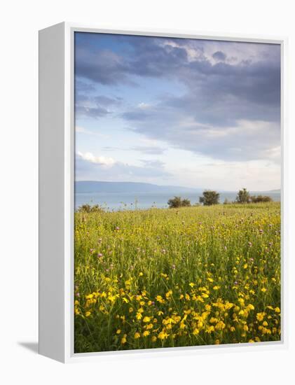 Israel, the Galilee, Tiberias, Sea of Galilee-Lake Tiberias-Walter Bibikow-Framed Premier Image Canvas