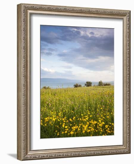 Israel, the Galilee, Tiberias, Sea of Galilee-Lake Tiberias-Walter Bibikow-Framed Photographic Print