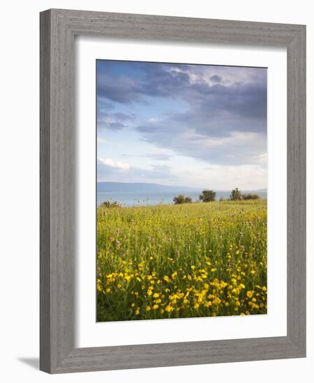 Israel, the Galilee, Tiberias, Sea of Galilee-Lake Tiberias-Walter Bibikow-Framed Photographic Print