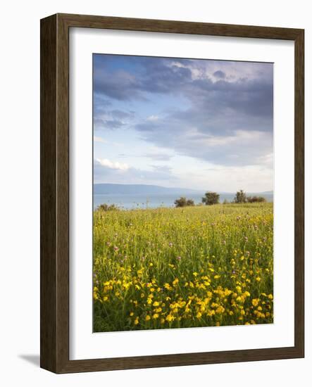 Israel, the Galilee, Tiberias, Sea of Galilee-Lake Tiberias-Walter Bibikow-Framed Photographic Print