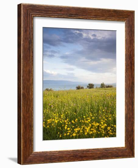 Israel, the Galilee, Tiberias, Sea of Galilee-Lake Tiberias-Walter Bibikow-Framed Photographic Print