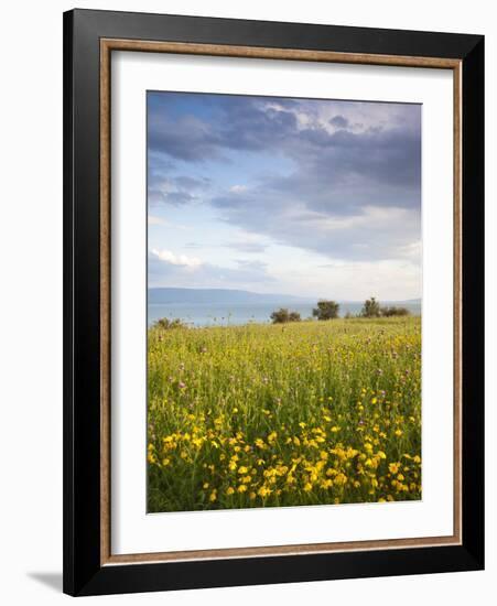 Israel, the Galilee, Tiberias, Sea of Galilee-Lake Tiberias-Walter Bibikow-Framed Photographic Print