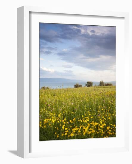 Israel, the Galilee, Tiberias, Sea of Galilee-Lake Tiberias-Walter Bibikow-Framed Photographic Print