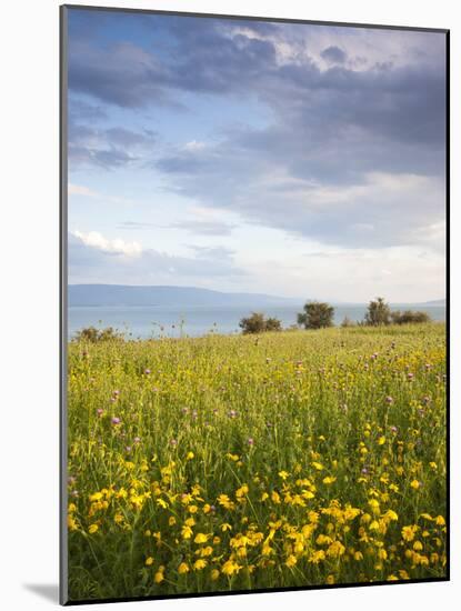 Israel, the Galilee, Tiberias, Sea of Galilee-Lake Tiberias-Walter Bibikow-Mounted Photographic Print