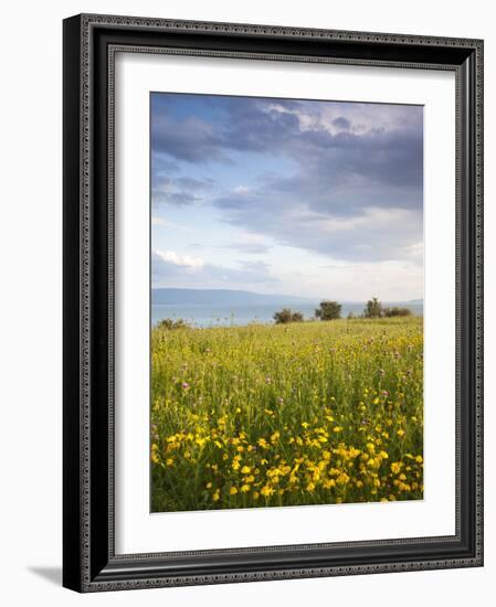 Israel, the Galilee, Tiberias, Sea of Galilee-Lake Tiberias-Walter Bibikow-Framed Photographic Print