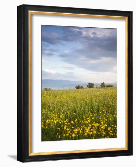 Israel, the Galilee, Tiberias, Sea of Galilee-Lake Tiberias-Walter Bibikow-Framed Photographic Print