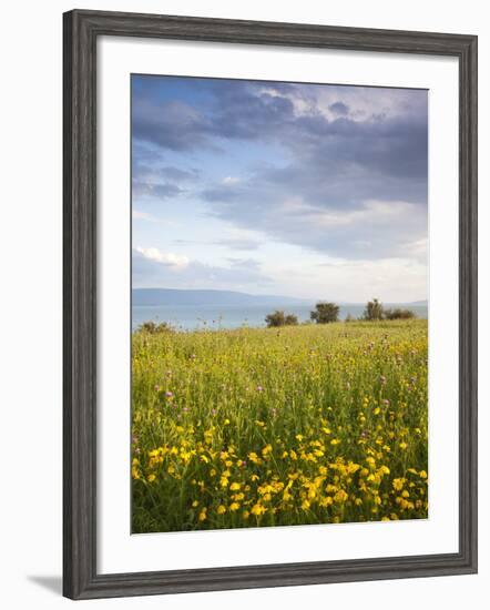 Israel, the Galilee, Tiberias, Sea of Galilee-Lake Tiberias-Walter Bibikow-Framed Photographic Print