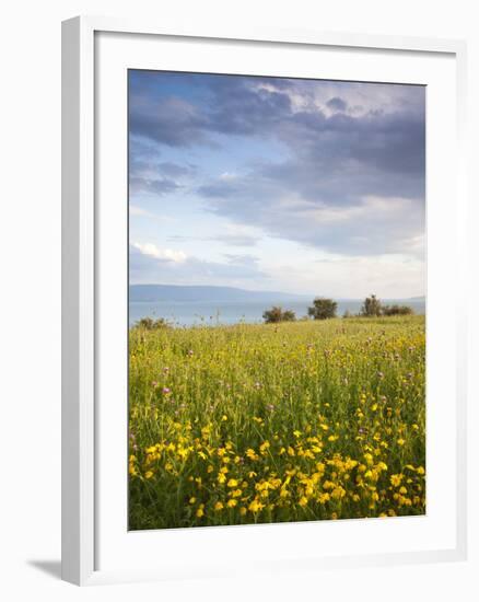 Israel, the Galilee, Tiberias, Sea of Galilee-Lake Tiberias-Walter Bibikow-Framed Photographic Print