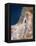 Israel-PLANETOBSERVER-Framed Premier Image Canvas