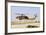 Israeli Air Force Uh-60 Yanshuf Helicopter Taking Off from Hatzerim Airbase, Israel-Stocktrek Images-Framed Photographic Print