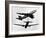 Israeli El Al Boeing 747 and a Propeller HS 748 Nearly Miss One Another, June 1948-null-Framed Photographic Print