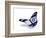 Israeli Flag Butterfly Flying, Isolated On White Background-suns_luck-Framed Premium Giclee Print