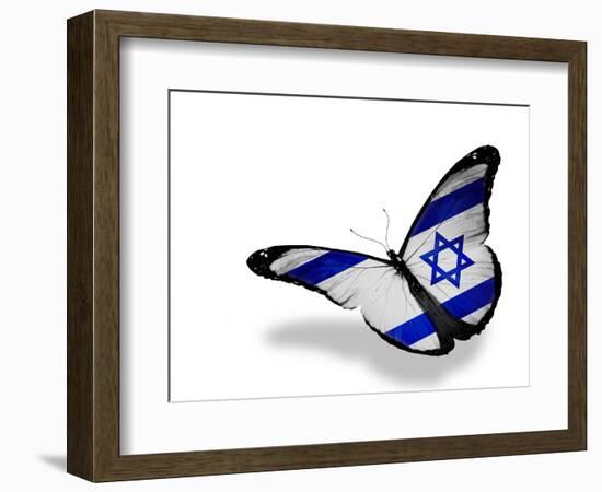 Israeli Flag Butterfly Flying, Isolated On White Background-suns_luck-Framed Premium Giclee Print