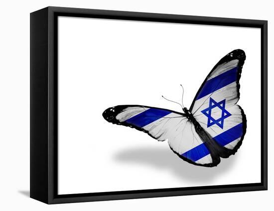 Israeli Flag Butterfly Flying, Isolated On White Background-suns_luck-Framed Stretched Canvas