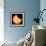 ISS Transit of 2017 Solar Eclipse, Composite Image-null-Framed Photographic Print displayed on a wall