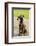 Issaquah, WA. Four month old Rhodesian Ridgeback puppy sitting on a wooden deck.-Janet Horton-Framed Photographic Print