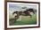 Istabraq at Cheltenham II-Susan Crawford-Framed Giclee Print