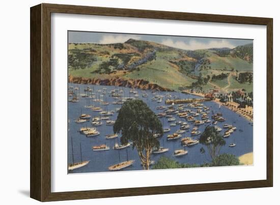 Isthmus Harbor, Catalina, California-null-Framed Art Print