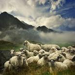 The Silence of the Lambs-Istvan Kadar-Framed Premier Image Canvas