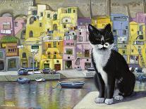 Cat in Corricella, Italy-Isy Ochoa-Giclee Print