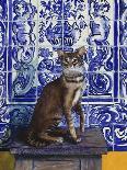 Cats of Provence (Chats de Provence)-Isy Ochoa-Framed Giclee Print