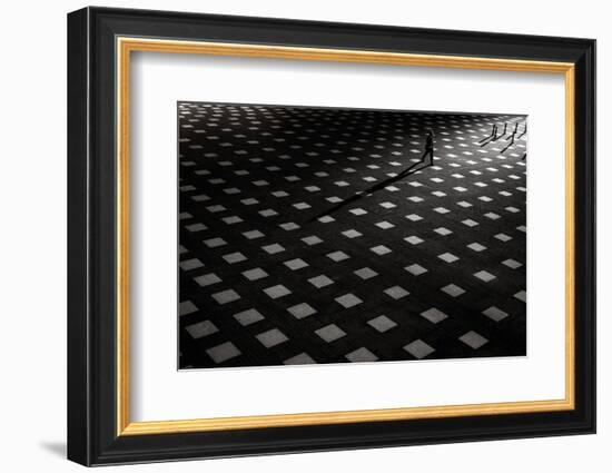 It is scattered-Kouji Tomihisa-Framed Photographic Print