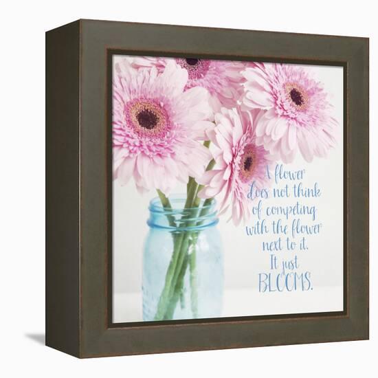 It Just Blooms-Susannah Tucker-Framed Stretched Canvas