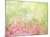 It's a Beautiful Day-Delphine Devos-Mounted Photographic Print