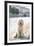 It's A Dog's Life-Carina Okula-Framed Giclee Print