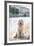 It's A Dog's Life-Carina Okula-Framed Giclee Print