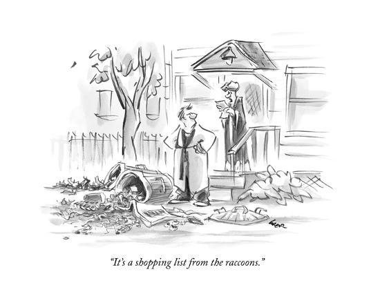 It S A Shopping List From The Raccoons New Yorker Cartoon Premium Giclee Print Lee Lorenz Art Com