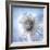 It's a Small World 33-Philippe Sainte-Laudy-Framed Photographic Print