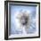 It's a Small World 33-Philippe Sainte-Laudy-Framed Photographic Print