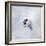 It's a Small World 34-Philippe Sainte-Laudy-Framed Photographic Print