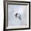 It's a Small World 34-Philippe Sainte-Laudy-Framed Photographic Print