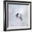 It's a Small World 34-Philippe Sainte-Laudy-Framed Photographic Print