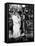 It's a Wonderful Life, 1946-null-Framed Premier Image Canvas