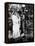 It's a Wonderful Life, 1946-null-Framed Premier Image Canvas